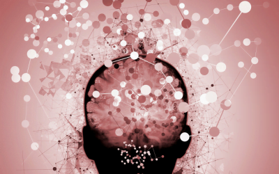 The Counseling Professor: Neuroception & Trauma